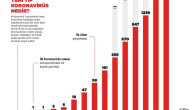 İşte Türkiye’nin koronavirüs tablosu