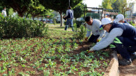 Akdeniz’de park ve yeşil alanlar çiçeklendiriliyor