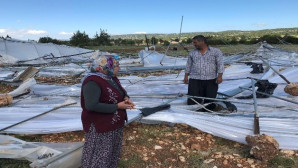 Şiddetli rüzgar Erdemli’de seralara zarar verdi