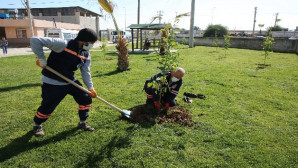 Akdeniz’deki parklar bakımdan geçiriliyor