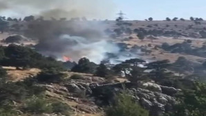 Mersin’de orman yangını büyümeden söndürüldü