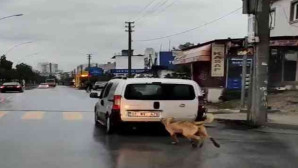 Tarsus’ta tepki çeken görüntü