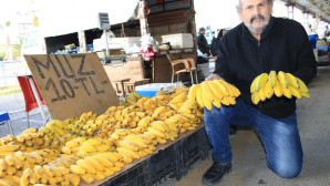 Tescilli Erdemli muzu geçim kaynağı oldu