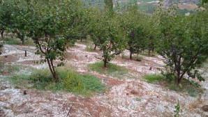 Yüksek kesimlerde dolu etkili oldu