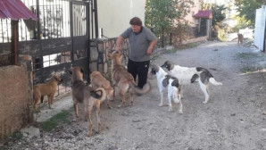 Yaylalar boşalınca aç kalan hayvanları muhtar doyurdu