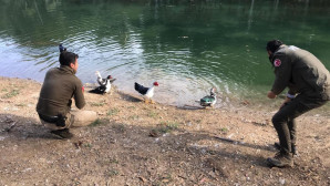 Mersin polisi soğuk kış günlerinde yaban hayvanlarını unutmuyor