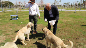 Bir Kap Su, Bir Kap Mama’ çağrısıyla buluştular