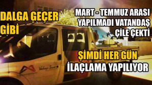 “GEL DE SİNİRLENME”