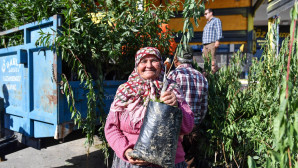 AYDINCIKLI ve TARSUSLU ÜRETİCİLERE BADEM FİDANI DESTEĞİ